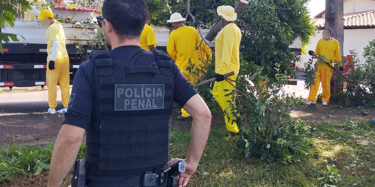 Trabalho da PPGO vai muito além de sua missão institucional