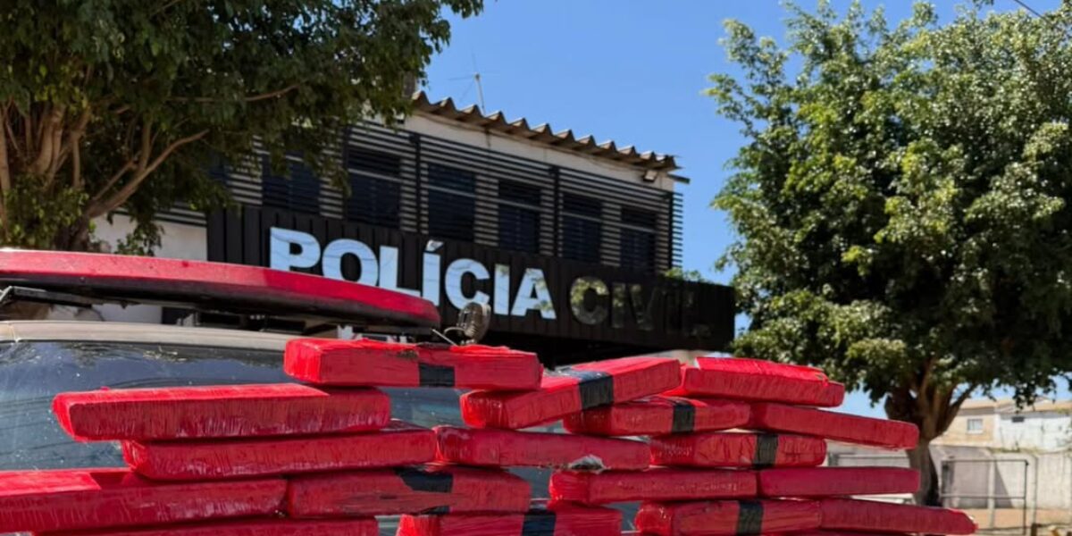 COD prende traficante e apreende 20kg de maconha