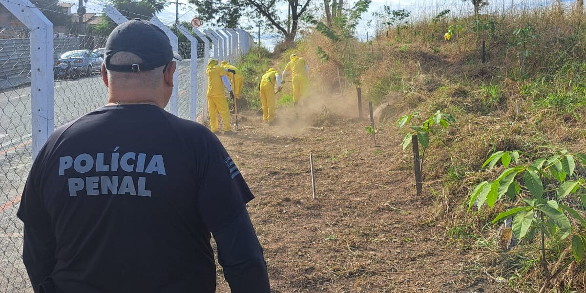 Plano Estadual prevê elevar em 50% o número de pessoas privadas de liberdade no trabalho até 2026