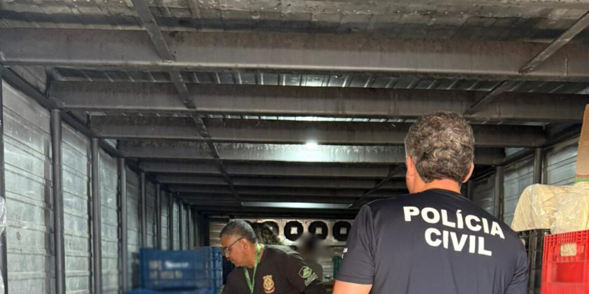 PCGO, Agrodefesa e Vigilância Sanitária apreendem mais 2 toneladas de produtos armazenados e manipulados de maneira irregular