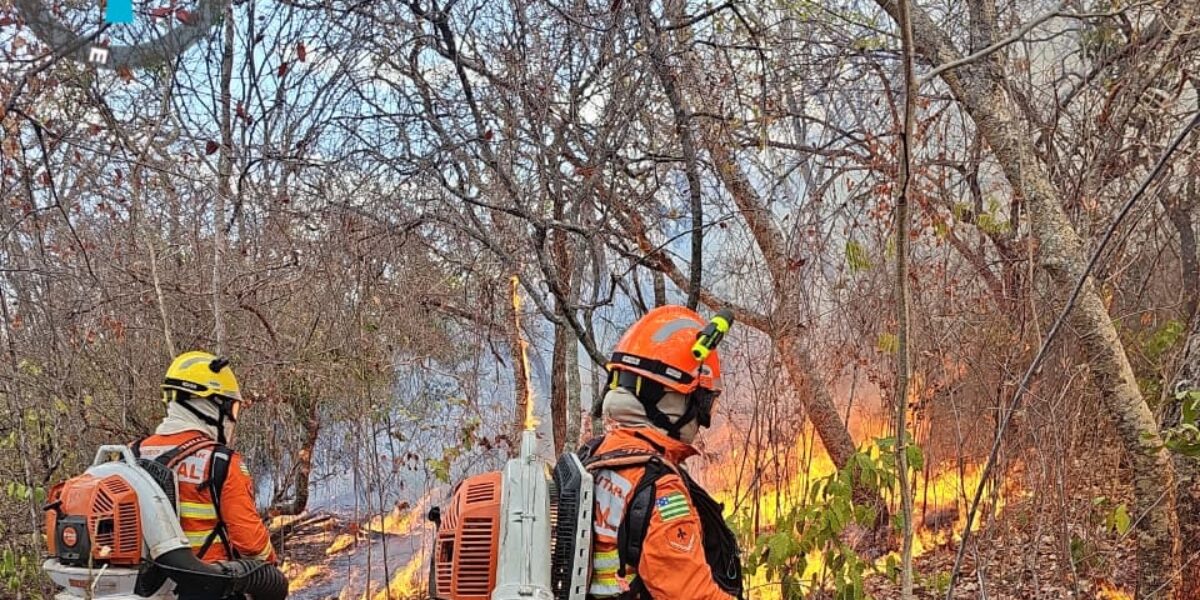 Bombeiros de Goiás extinguem o maior incêndio florestal ativo do brasil após 33 dias de combate