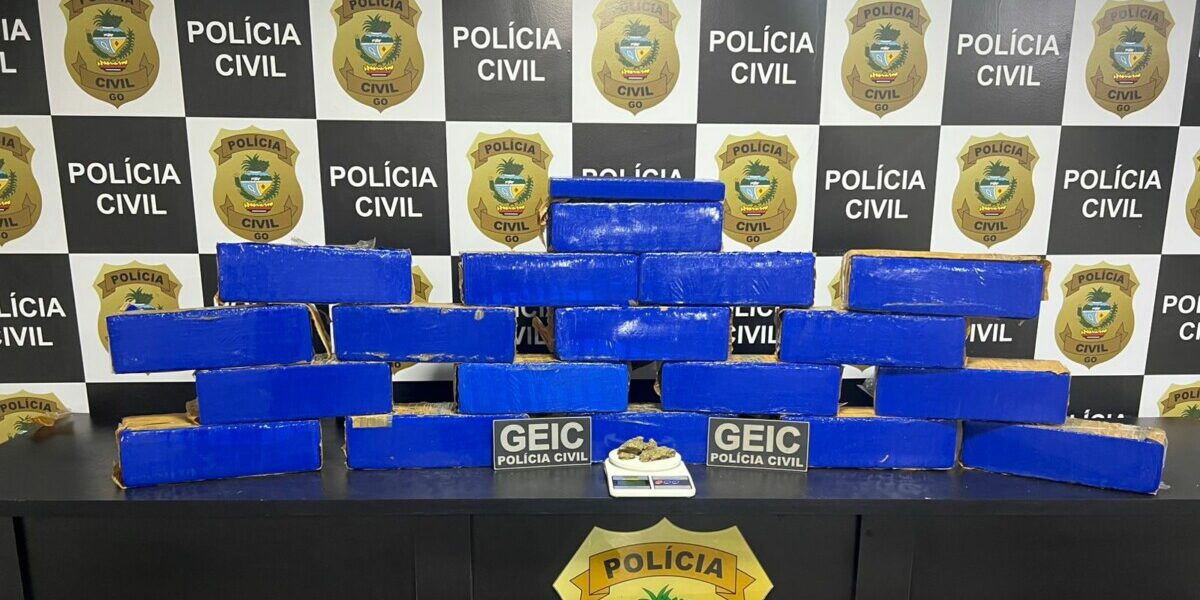 PCGO desativa apartamento usado como depósito de drogas e apreende grande quantidade de maconha