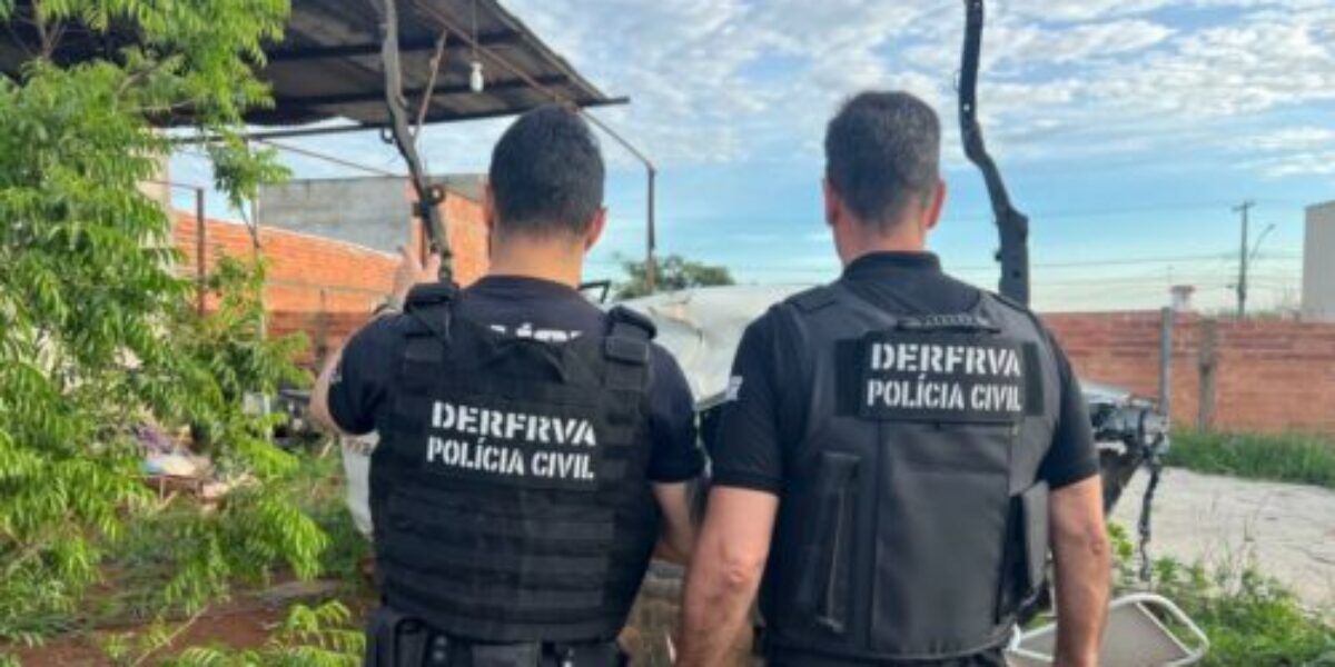 PCGO deflagra Operação “Falso Sinistro” contra grupo especializado em golpes de seguro e adulteração de veículos