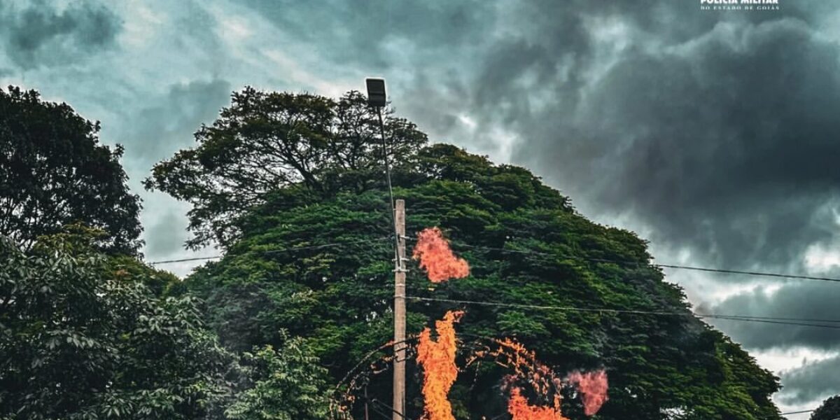 PMGO realiza formatura do 2º Curso de Cinotecnia e Operações com Cães