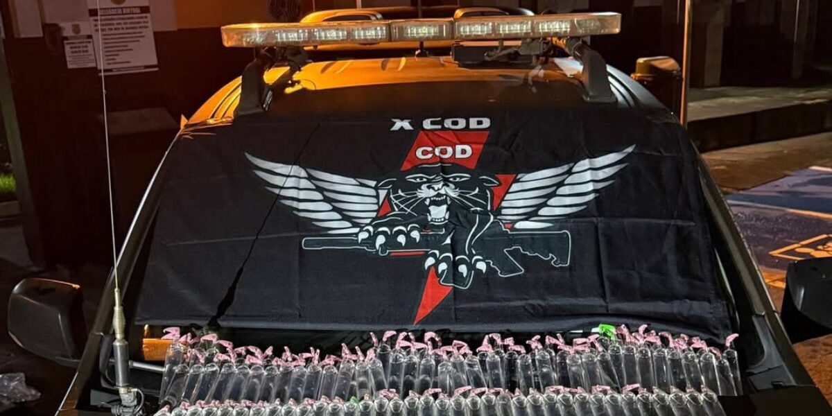 COD apreende drogas sintéticas que seriam comercializadas no DF