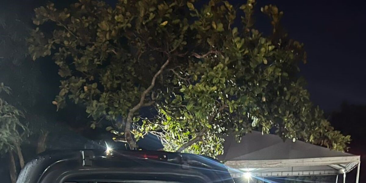 PCGO deflagra Operação NIV Fantasma em Goiás e São Paulo contra desmanche de veículos