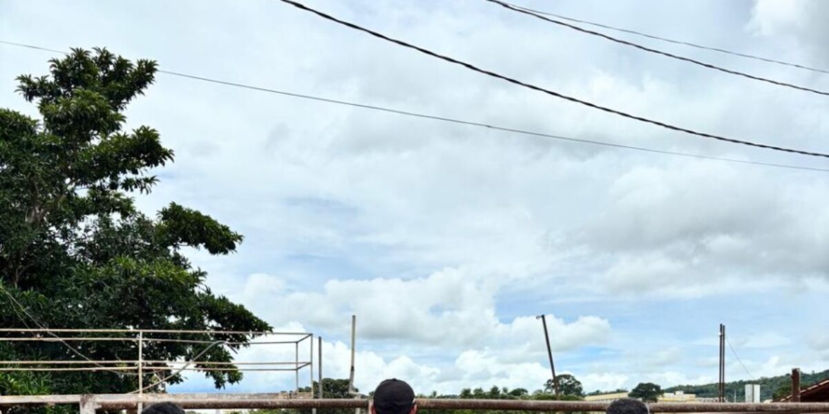 Operação Cash Cow investiga esquema de fraude fiscal e lavagem de dinheiro no setor de carnes