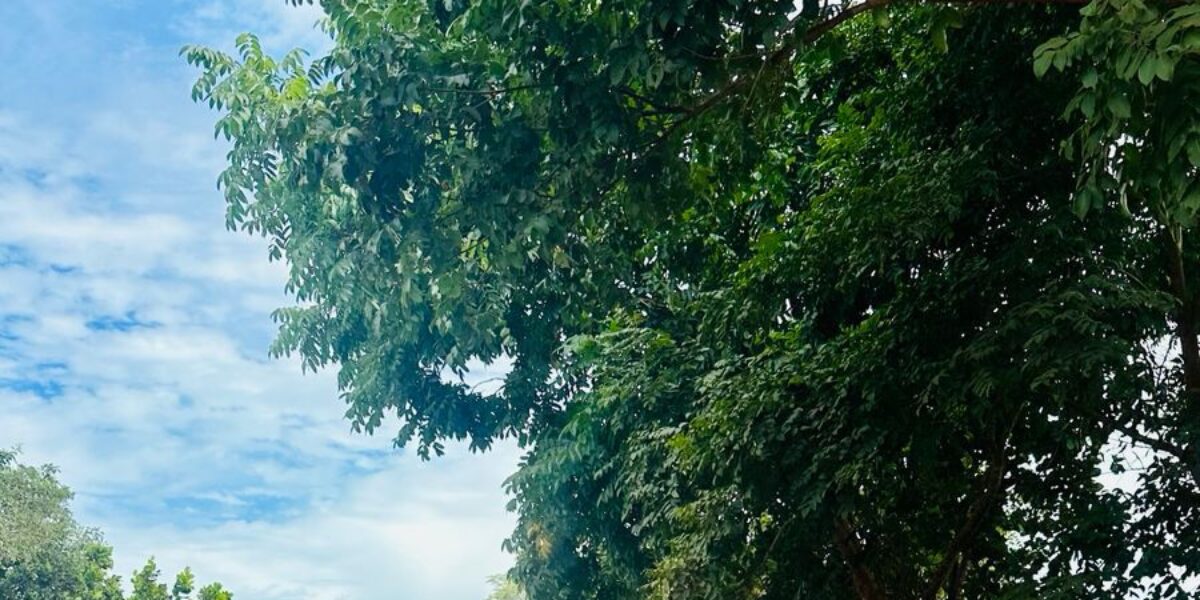 COD intercepta carga de cigarros paraguaios na região Sul de Goiás