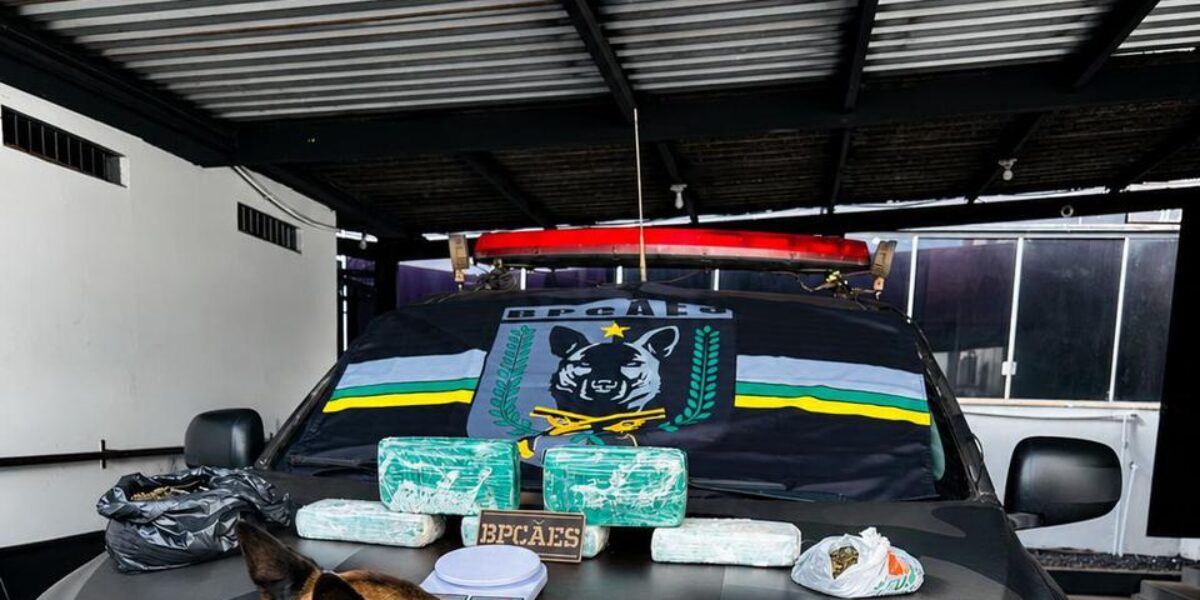 BPCÃES atua no combate ao crime de tráfico de drogas em Rio Verde