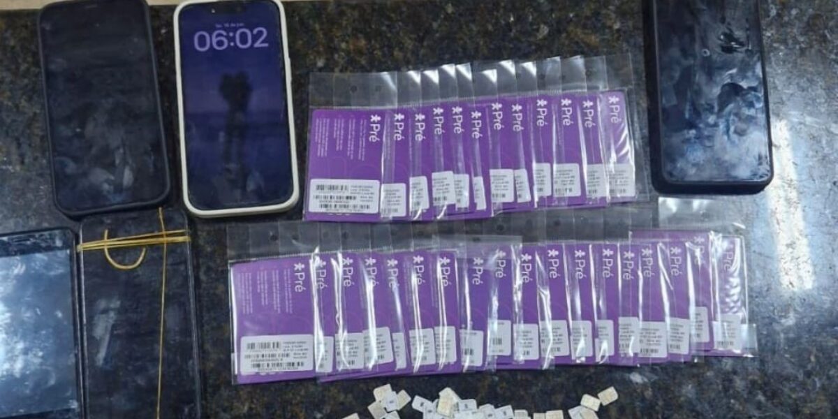 PCGO e PCSP deflagram Operação Protheus contra grupo investigado por estelionato eletrônico