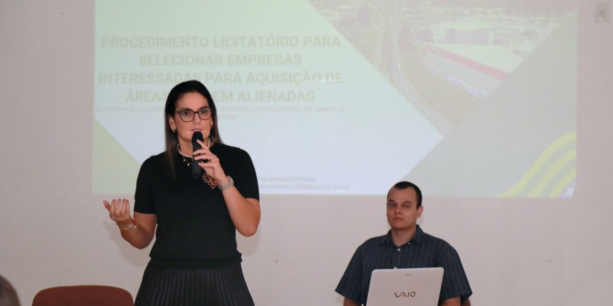 Seinfra e Codego promovem workshop com empresários interessados em investir na expansão do Daia