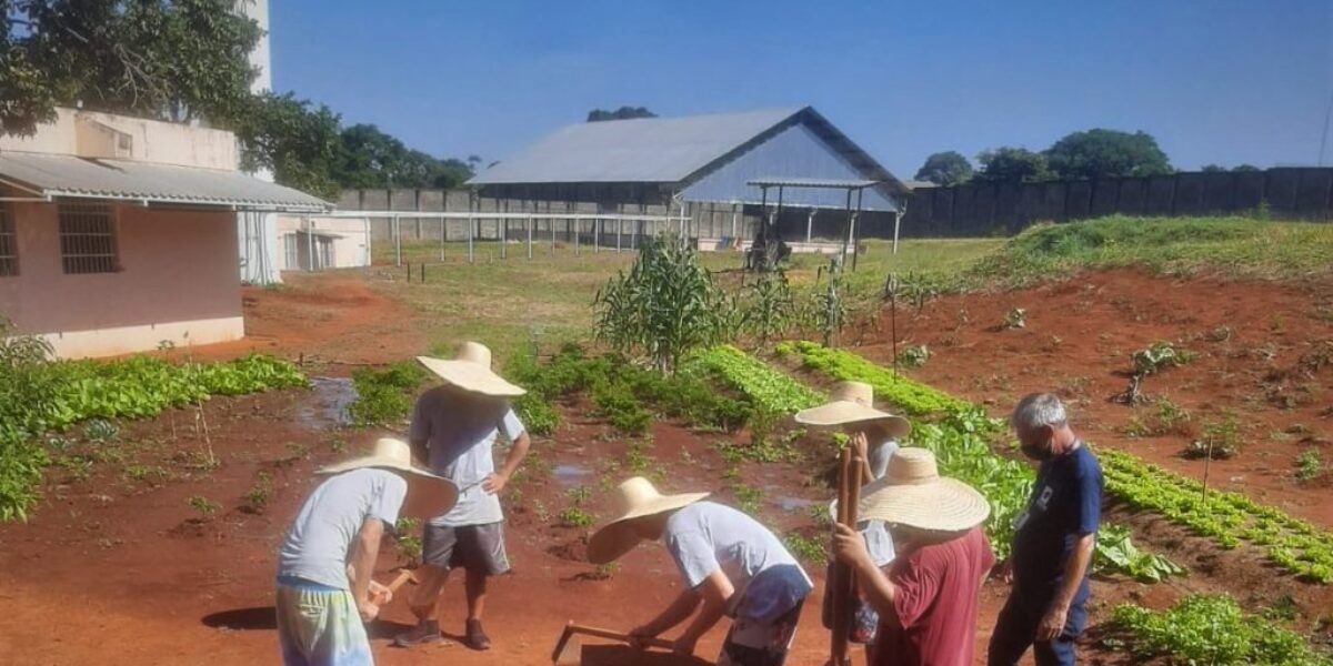 Emater atua para reinserção de adolescentes que cumprem medidas socioeducativas à sociedade