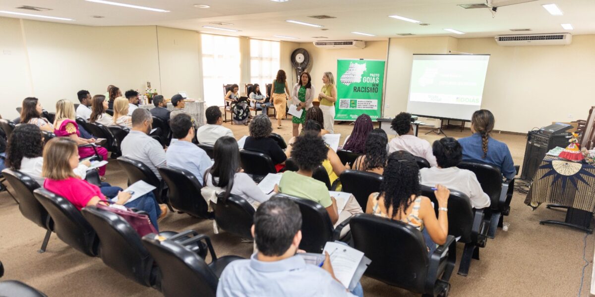 Comitê Gestor do Pacto Goiás Sem Racismo discute estratégias de enfrentamento ao preconceito étnico-racial