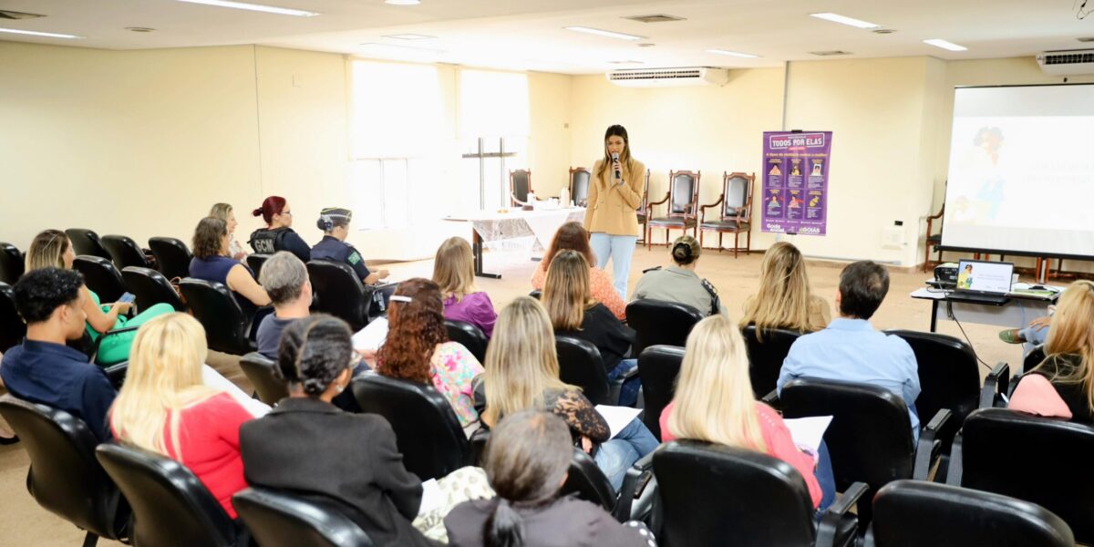 Seds promove reunião de alinhamento da Rede Estadual de Enfrentamento à Violência contra as Mulheres