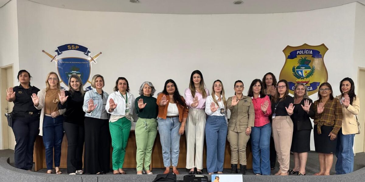 Seds avalia dados e apresenta ações da Rede Estadual pelo Fim da Violência contra as Mulheres
