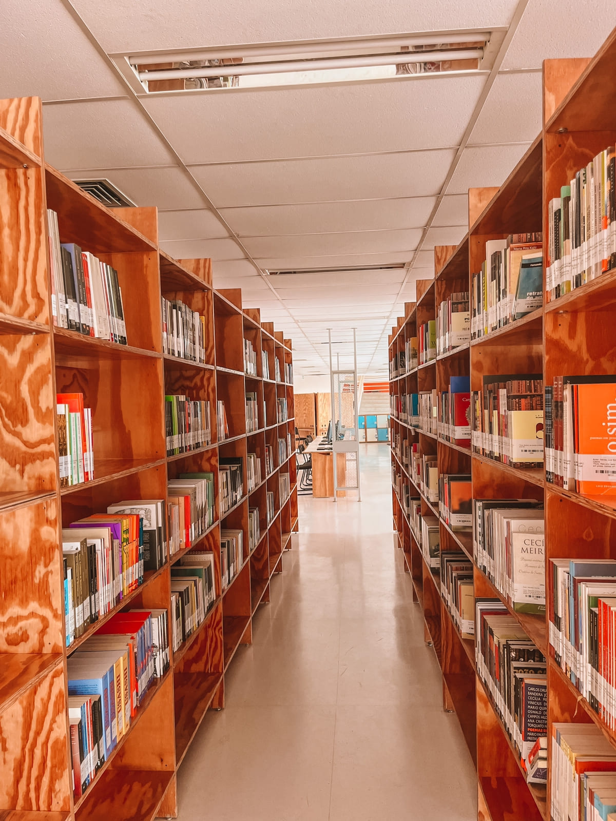 Bibliotecas do CCON são reabertas ao público