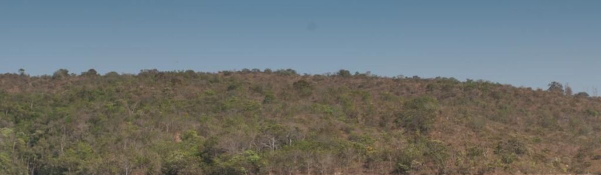 6ª etapa do Circuito Goiano de Pesca Esportiva movimenta turismo em Luziânia