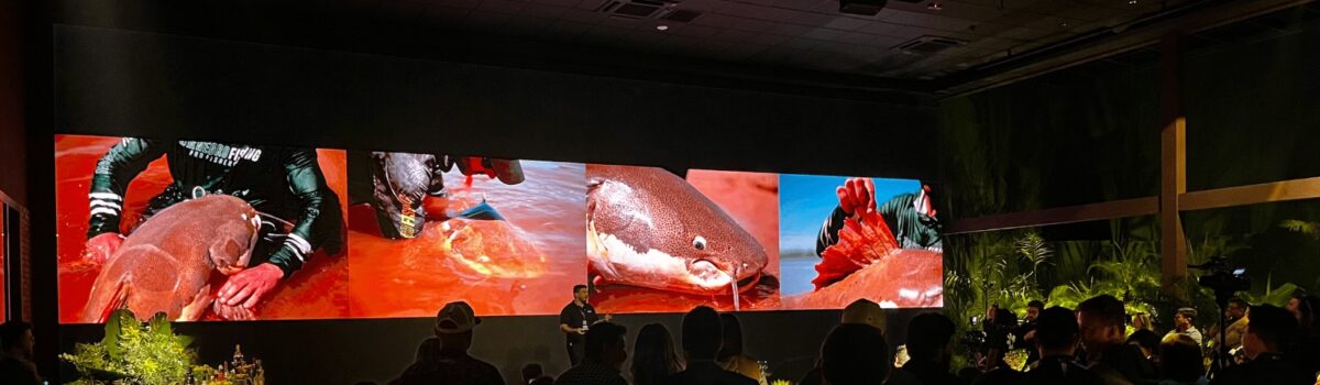 Goiás divulga seus melhores destinos de pesca esportiva na Fishing Show Brazil