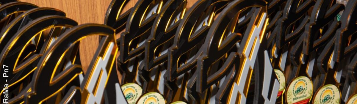 Rally Bora Pra Goiás chega a São Luís de Montes Belos para a 3ª etapa do Campeonato Goiano de Rally 2025