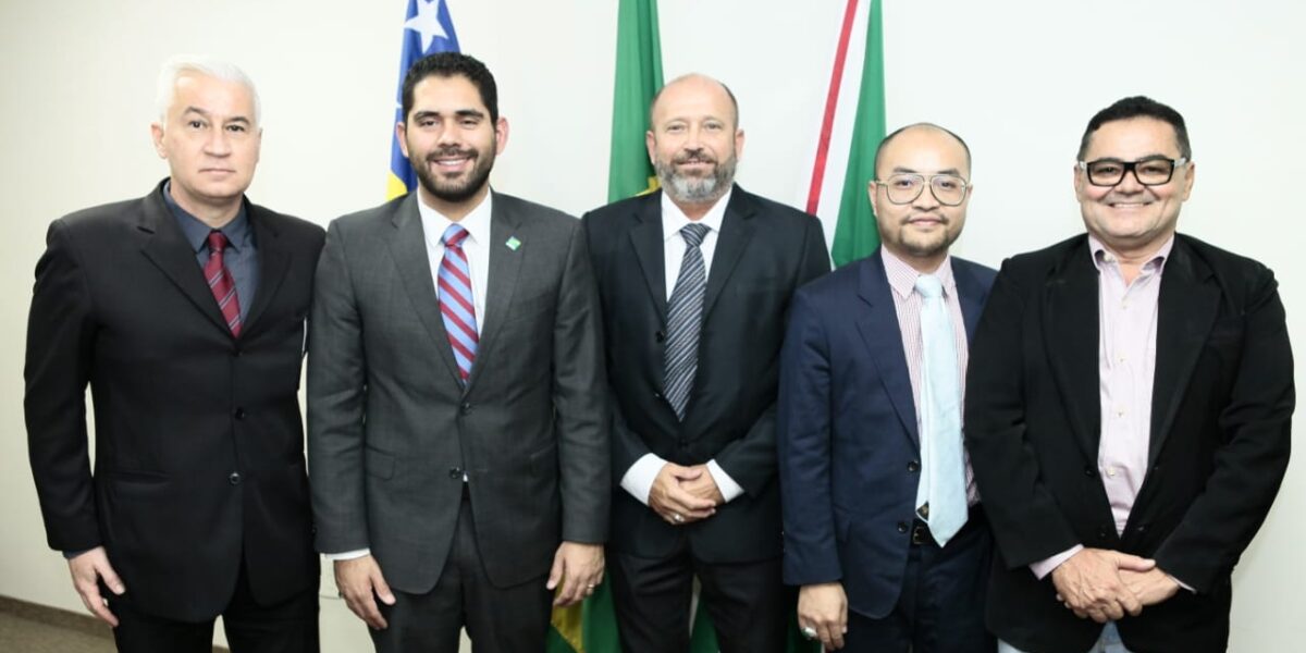 Grupo chinês visita Senado com o vice-governador de Goiás