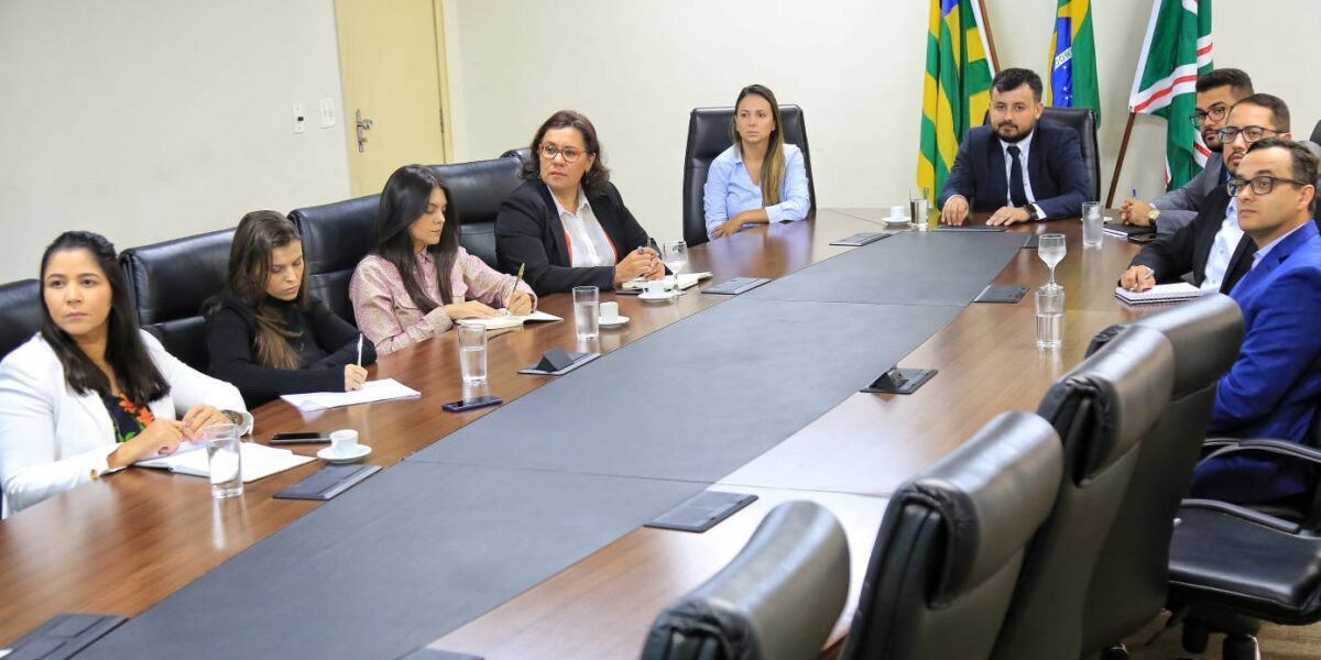 Comitê Setorial do Compliance Público da Vice-Governadoria apresenta próximas ações para 2020