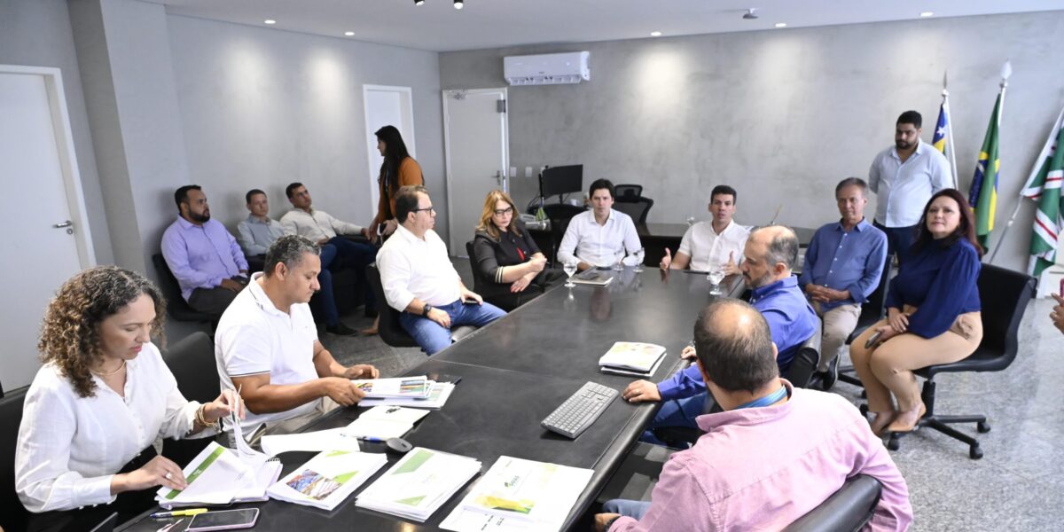 Daniel Vilela valida planejamento da Goinfra para execução de obras de infraestrutura em 2025