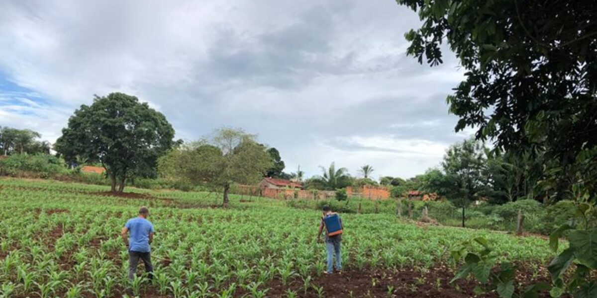Reeducandos limpam escolas e cultivam horta comunitária em Serranópolis