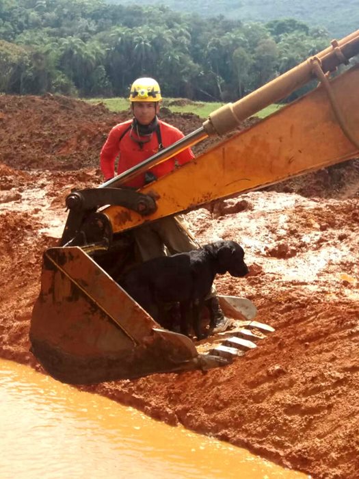Um bombeiro sobre a lama de Brumadinho e uma cadela preta, que auxiliou nas buscas às vítimas do desastre. O animal aparece em cima de uma retroescavadeira utilizada nas buscas.