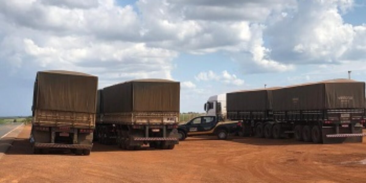 Operação apreende quase 400 toneladas de grãos em Luziânia