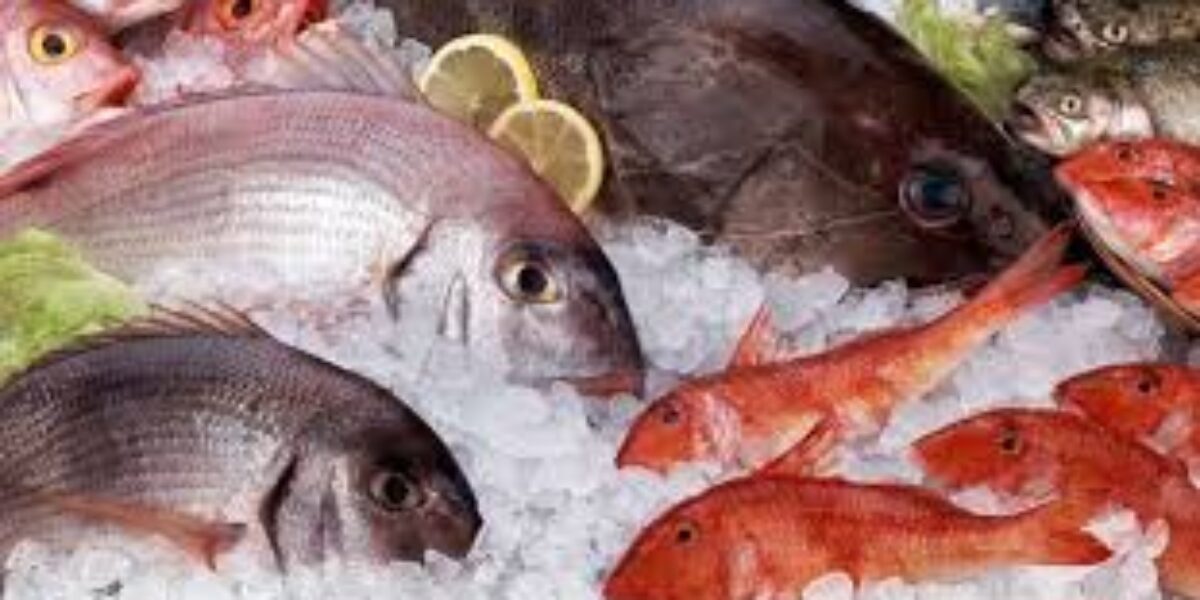 Procon divulga nesta terça-feira pesquisa de preços de pescados