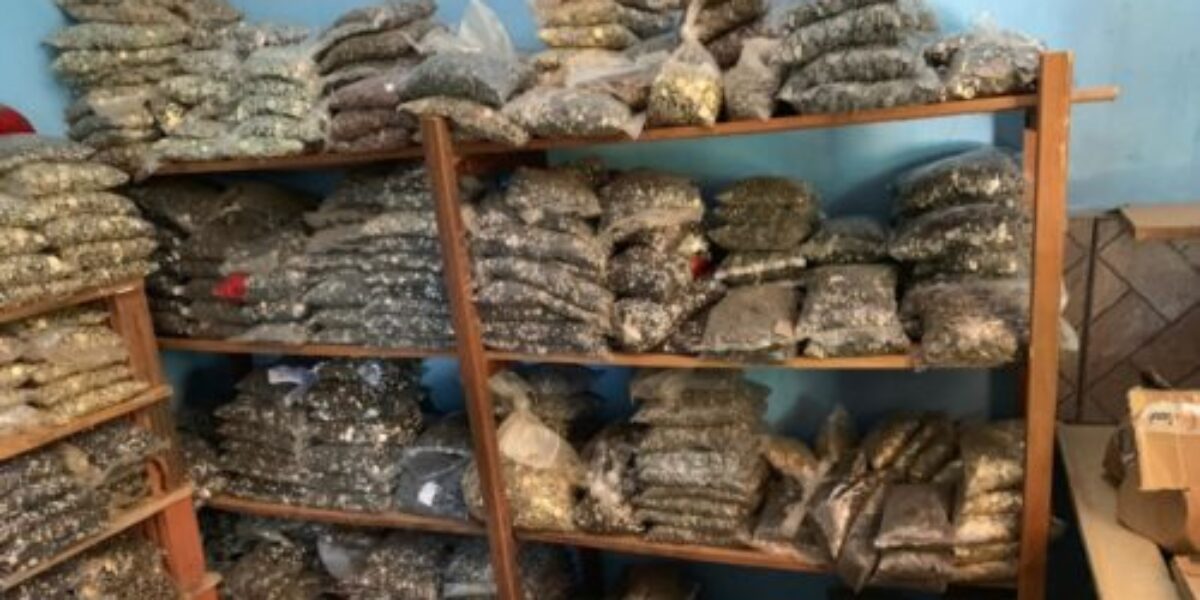 Apreendidas quase 5 toneladas de itens de vestuário falsificado em Jaraguá