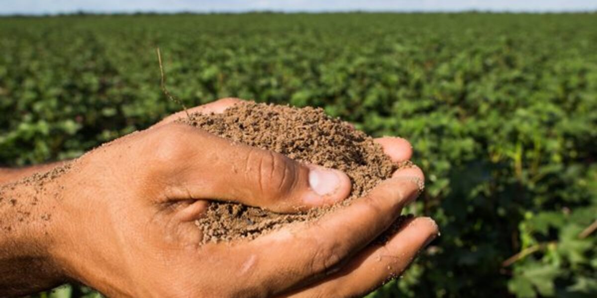 Setor agropecuário lidera criação de novos empregos em Goiás