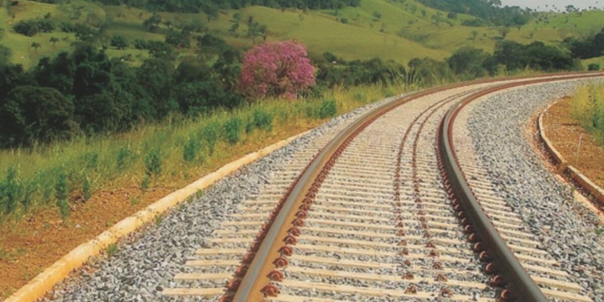 Câmara Temática discute os impactos da Ferrovia Norte-Sul no agronegócio