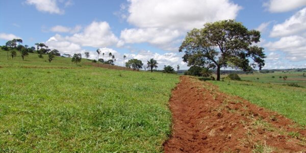 Manejo sustentável dos cultivos em solo do Cerrado é tema de workshop