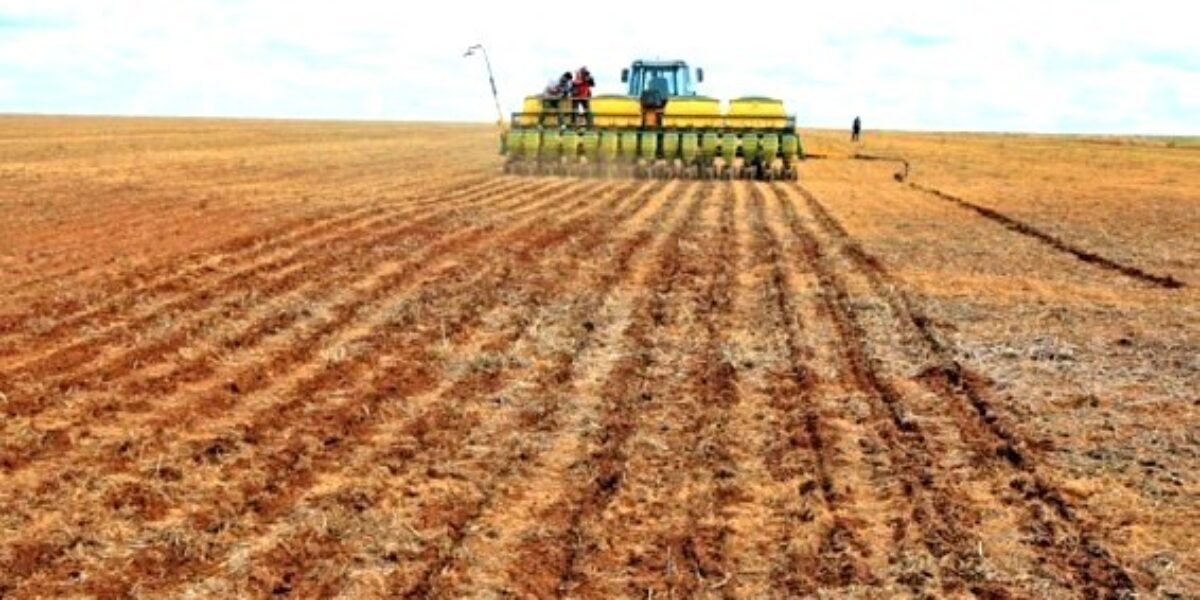 Vazio sanitário da soja termina nesta terça-feira.