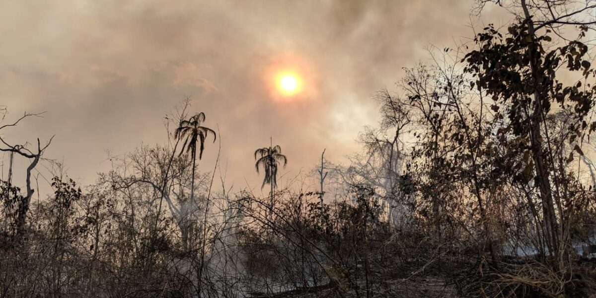 Incêndios: responsáveis serão enquadrados na Lei de Segurança