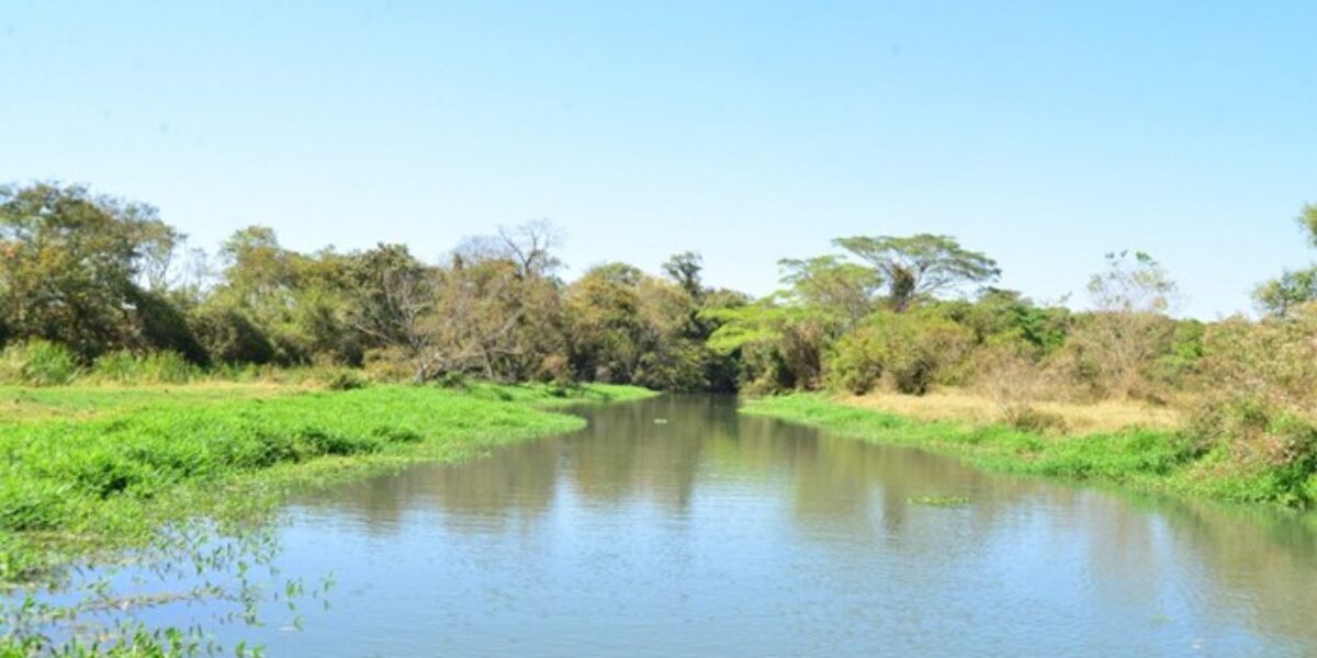 Comissão Eleitoral do Comitê da Bacia Meia Ponte abre prazo para recursos das inscrições