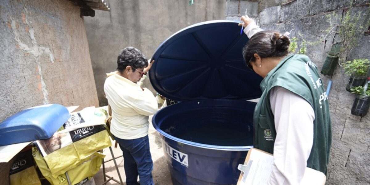 Saúde alerta: maioria dos criadouros do Aedes estão dentro das casas