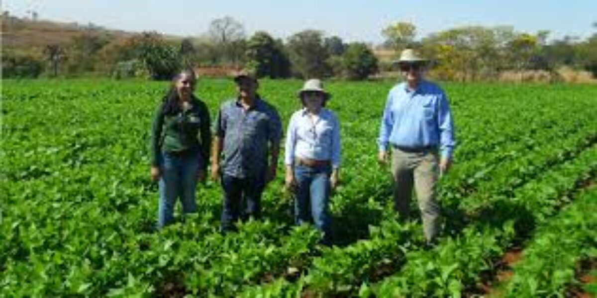 Goiás terá programa para agricultores em vulnerabilidade social