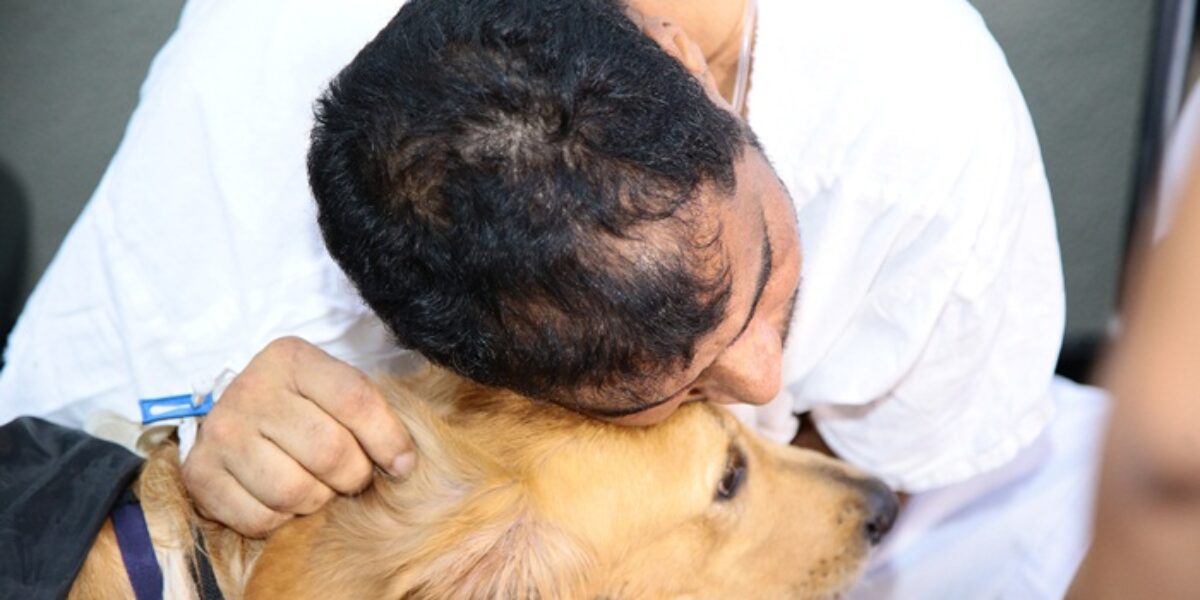 Cães terapeutas visitam pacientes no Crer nesta sexta-feira