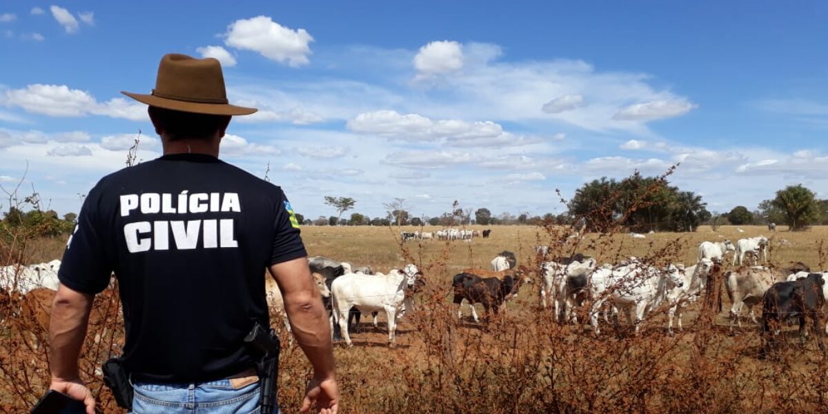 Ladrões de gado são presos pela Polícia Civil em Itumbiara