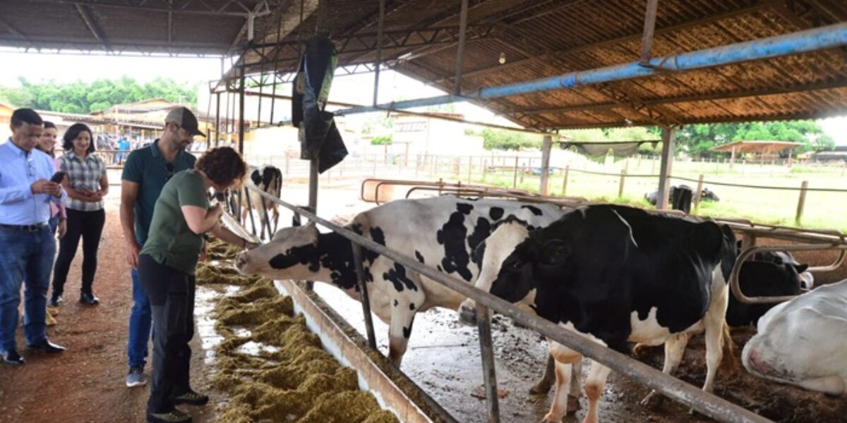 Equipe do Governo de Goiás visita unidade produtora de leite referência em sustentabilidade