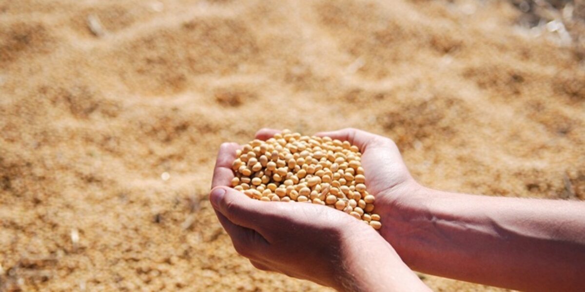 Goiás passa a ser o terceiro maior produtor de grãos do Brasil