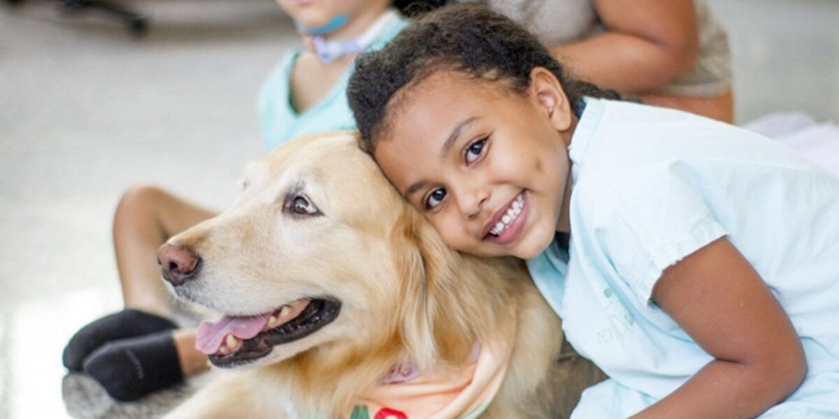 Alegria e emoção marcam visita de cães terapeutas no Crer​