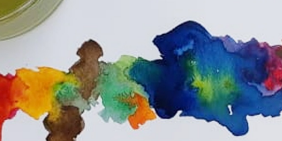 Escola de Artes Visuais abre inscrições para curso de Aquarela “Arteterapia”