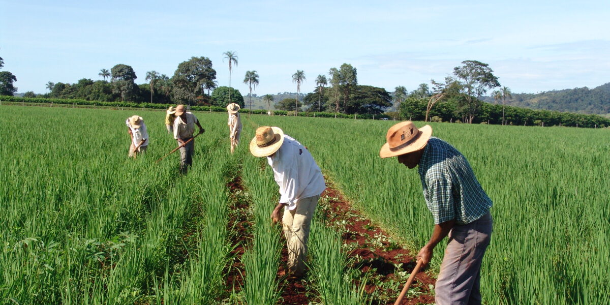 Governo anuncia benefícios para a agricultura familiar em Goiás