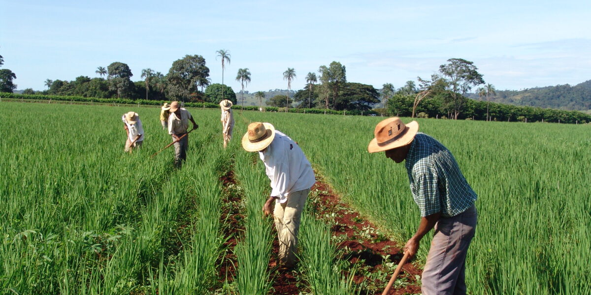 Goiás prepara Plano de Aquisição de Alimentos Estadual