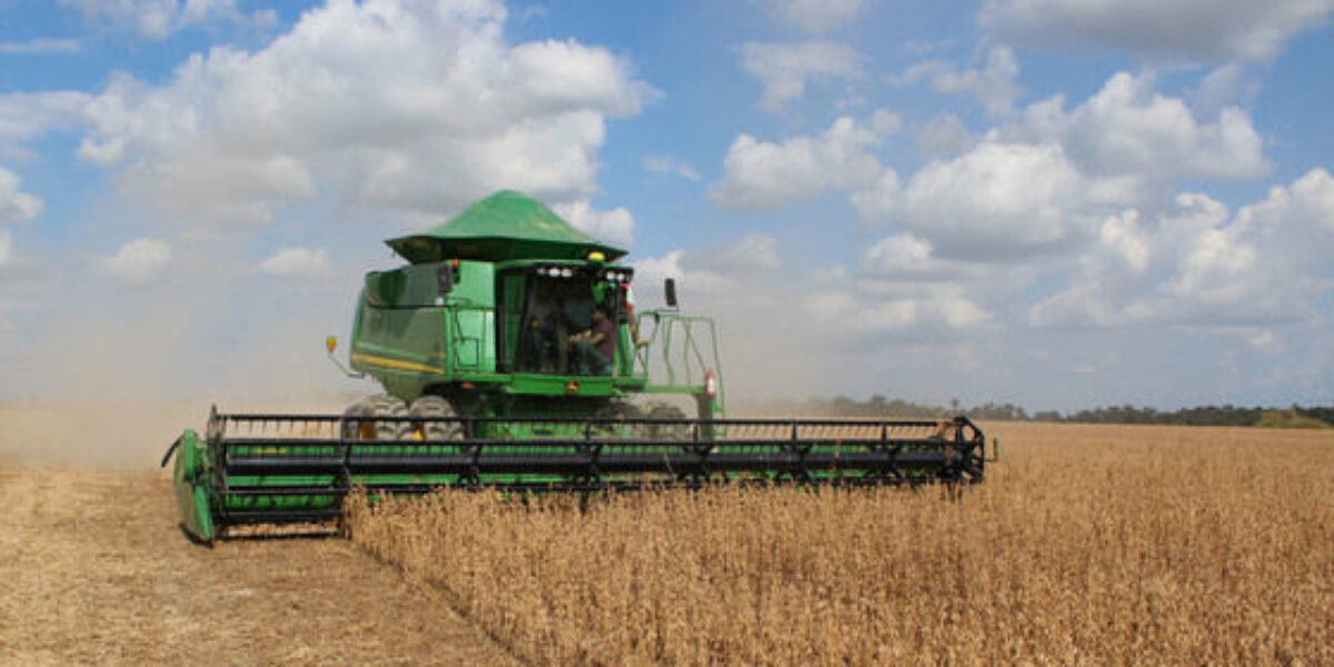 Crescimento do Valor Bruto da Produção Agropecuária é destaque do Agro em Dados de março