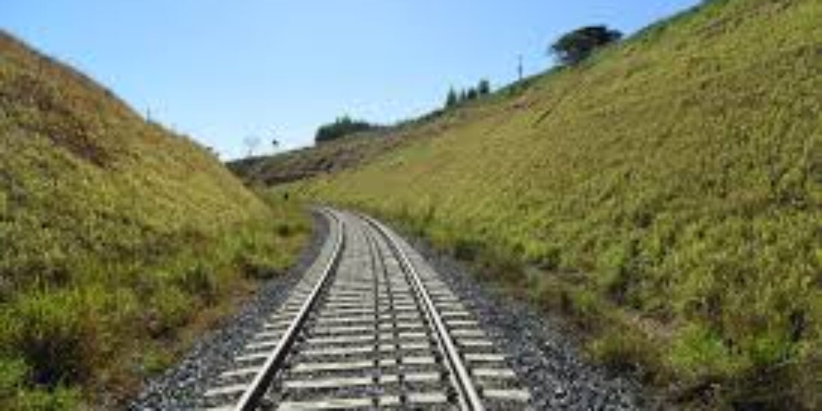 Caiado destaca investimentos do setor produtivo no terminal ferroviário de São Simão