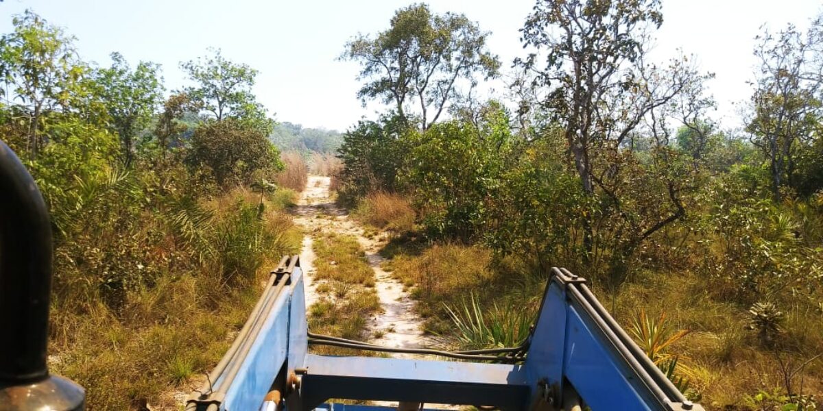 Meio Ambiente estabelece critérios para queima controlada